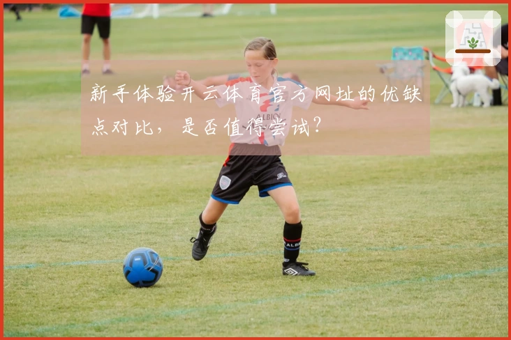 新手体验开云体育官方网址的优缺点对比,是否值得尝试?