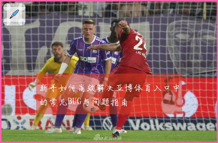 新手如何高效解决亚博体育入口中的常见BUG与问题指南