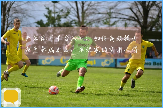 开云体育平台入口：如何高效提升角色养成进度，老玩家的实用心得分享