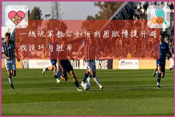 一线玩家教你如何利用欧博提升游戏技巧与胜率